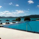 위트선데이 이미지