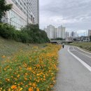 천안천8길 이미지