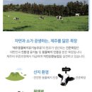 마카마카마곡 이미지