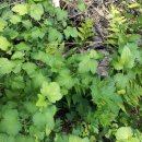 귀중농장 이미지