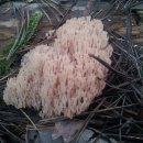 골짜기농장 이미지