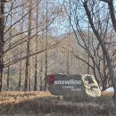 오토빌리지 | 예산오토캠핑장 - 스노우라인 캠핑빌리지, E10 사이트 평일캠 후기