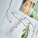 으뜸안경 이미지