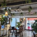 포숑포숑 | [창원 가로수길 맛집] 분짜가 맛있는 베트남 음식 전문점 포숑 방문 후기