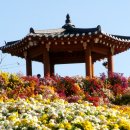 새날약국 이미지