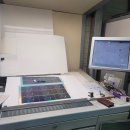 아이보리매직 이미지