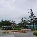 힐스족발 이미지