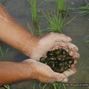 봉산농장 이미지