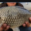 당근펜션 이미지