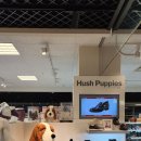 둔산이마트 이미지