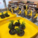 마곡11 나무햇살어린이집 이미지