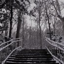 우장산근린공원 이미지