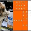 [대전 대덕구청] 믹스견(시츄 믹스견??) ( 2007-6-5까지) 이미지