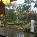 만남찻집 이미지