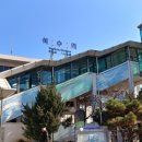 모모포차 이미지