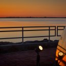 내인생의 봄날 이미지