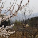 한덕농장 이미지