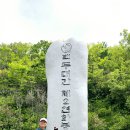 선경 이미지