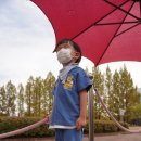 마마트24 | 경기도 용인 가볼만한곳 삼성화재 교통박물관 아이와 어른 모두 만족했던 날