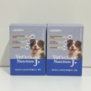 치치독 | 베들링턴테리어 닥터독 베츠초이스 뉴트리션 J+ 노견 강아지 관절영양제 후기