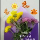 행운 이미지
