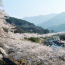 (주)우림바이오 이미지