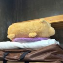 거꾸로가는시간(한림대점) | 거꾸로가는시간 한림대점 : 춘천 마사지샵 / 스킨케어 / 림프순환관리 / 웨딩관리 /