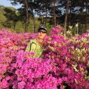 태안휴게소 이미지