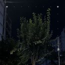 TNB 피트니스 센터 이미지