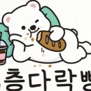 다락쿠키 이미지