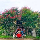 자산동 모암길 한전입구 ~ 자산동 모암길 한전앞 | 경북 문화기행 Hi STORY경북 김천/성주 1박2일 프롤로그