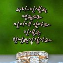 우리인생을명품으로멋지게살아요