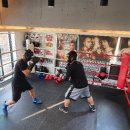 전진만 챔피언 복싱클럽 이미지