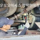 오토오아시스 현대점 이미지