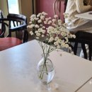 머글커피 이미지