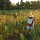 신천리마을회 이미지