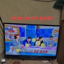 심목청과