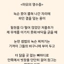 마모의 영수증 이미지