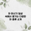 차마시기 이미지