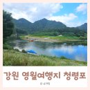 청령포 | 4살 아이와 강원도여행 | 왕사남 신드롬의 중심, 영월 청령포 여행 후기