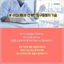 주종합