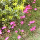 양평폭포펜션 이미지