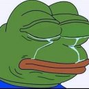 플러스동물메디컬센터 이미지