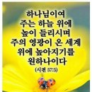 담안 Daum카페