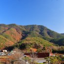 남하 상촌마을경로당 | 광산김씨 양간공파>전리판서공파>부사공파 창녕 한골 대종산소