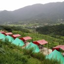 청호제하늘 이미지