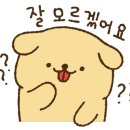 1001안경원 이미지