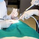 강북리더스치과의원 이미지