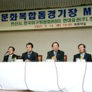 펌 )한국형 돔구장의 조건 이미지