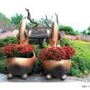 농업테마파크 이미지